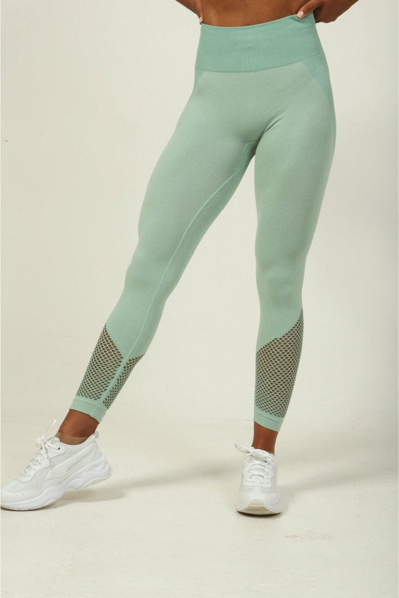 leggings-with-mesh