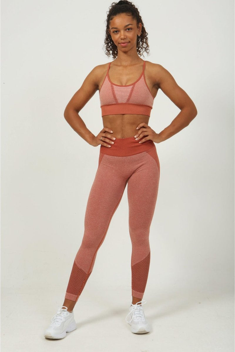 gym-leggings-with-mesh