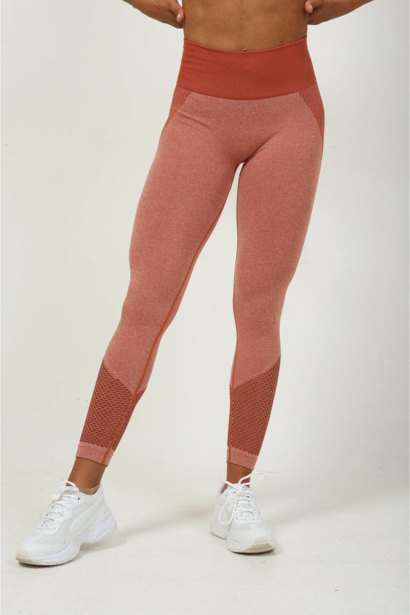 leggings-with-mesh