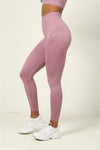 Gym Set for Women - Nude Pink