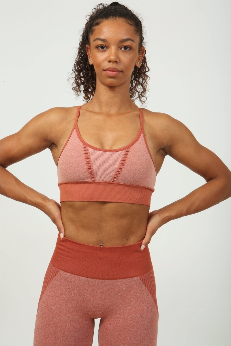 High Impact Sports Bra - Terracotta Mesh