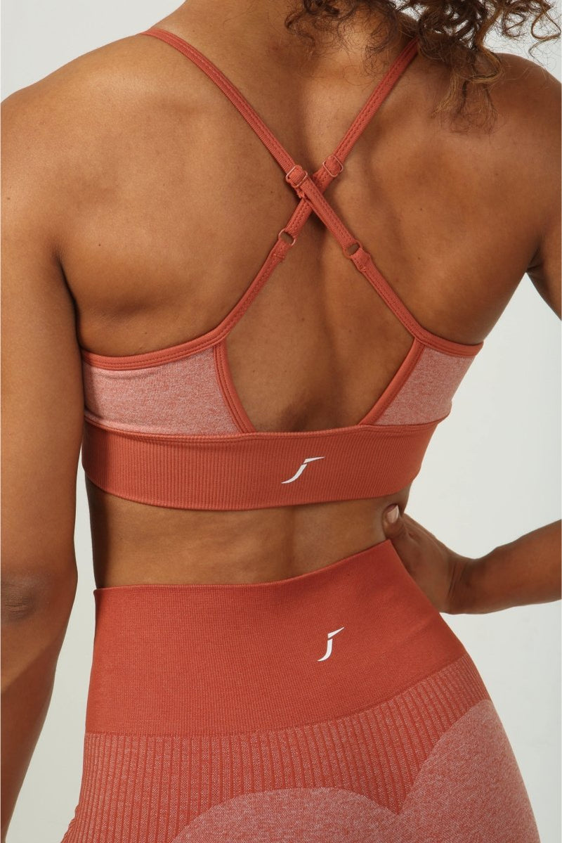 High Impact Sports Bra - Terracotta Mesh